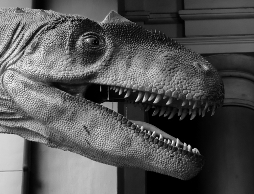 T-Rex